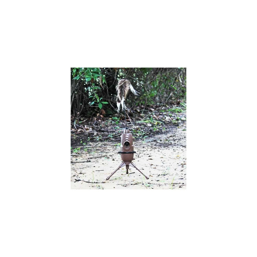 Appelant Renard Mojo Critter 2 2 Appelant Renard Mojo Critter 2 – Image 2