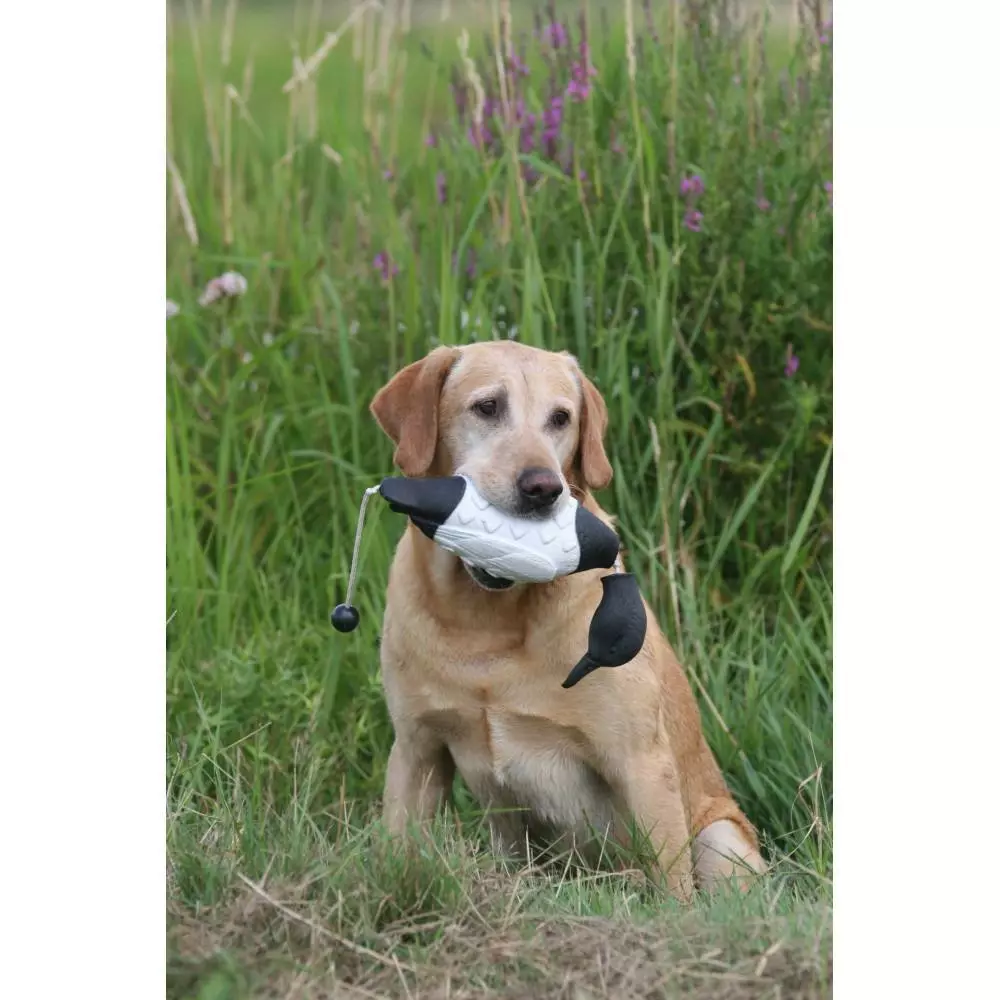 Apportable Morillon Pour Chien De Chasse 2 Apportable Morillon Pour Chien De Chasse – Image 2