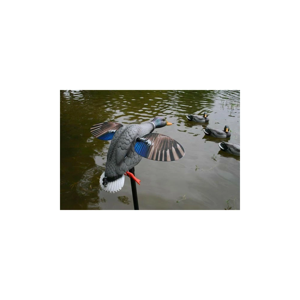 Canard à Ailes Tournantes Mojo King Mallard 2 Canard à Ailes Tournantes Mojo King Mallard – Image 2