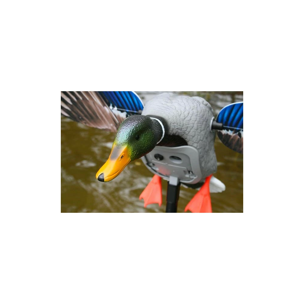 Canard à Ailes Tournantes Mojo King Mallard 4 Canard à Ailes Tournantes Mojo King Mallard – Image 4