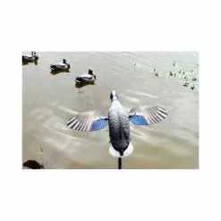 Canard à Ailes Tournantes Mojo King Mallard 11 Canard à Ailes Tournantes Mojo King Mallard -Nature & Précision Soldes Boutique canard a ailes tournantes mojo king mallard 5