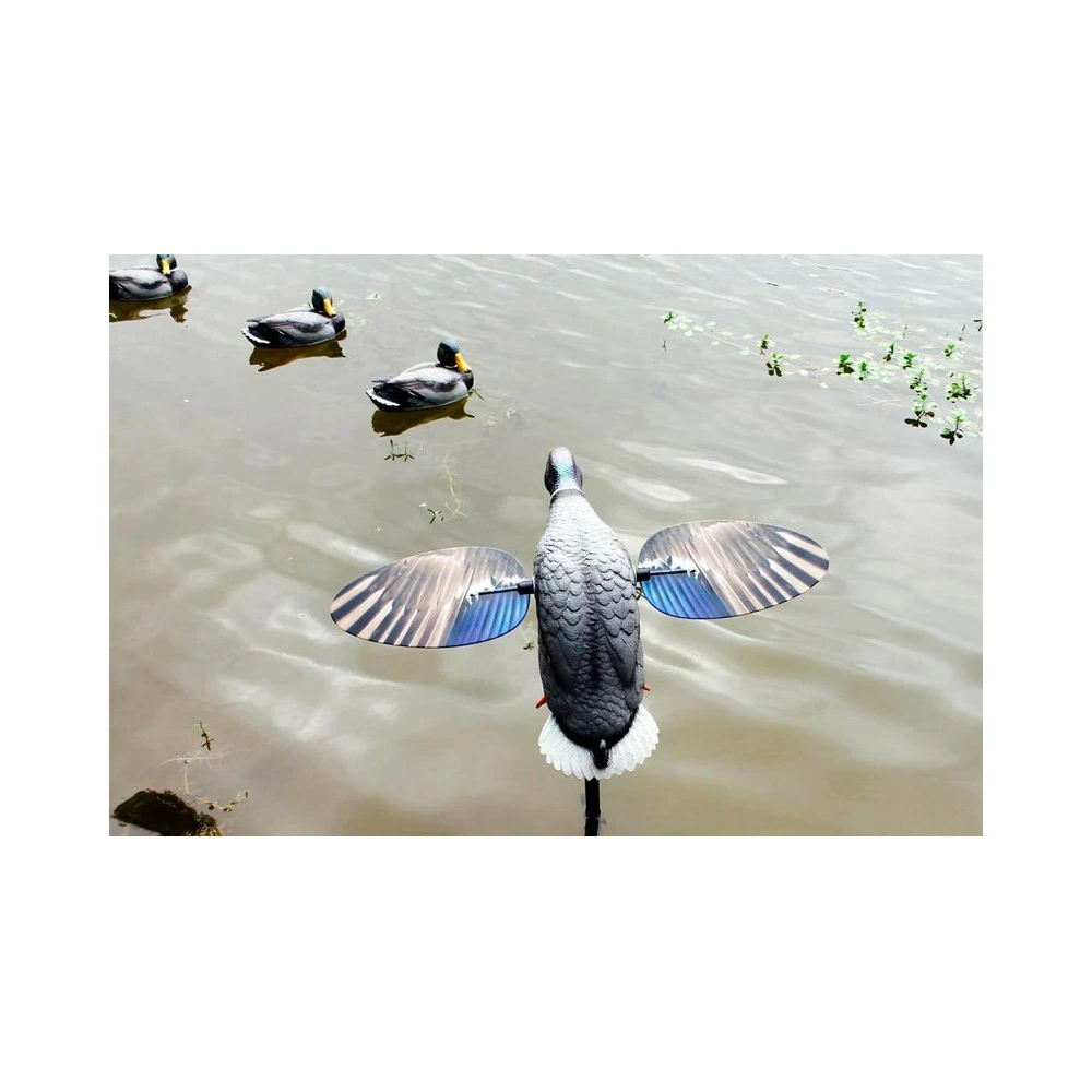 Canard à Ailes Tournantes Mojo King Mallard 6 Canard à Ailes Tournantes Mojo King Mallard – Image 6