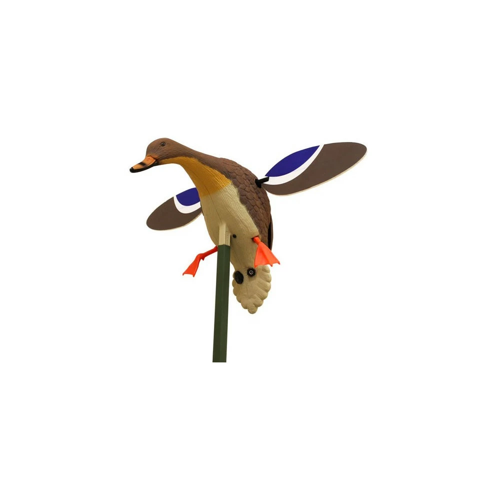 Cane Colvert à Ailes Tournantes Baby MOJO 1 Cane Colvert à Ailes Tournantes Baby MOJO