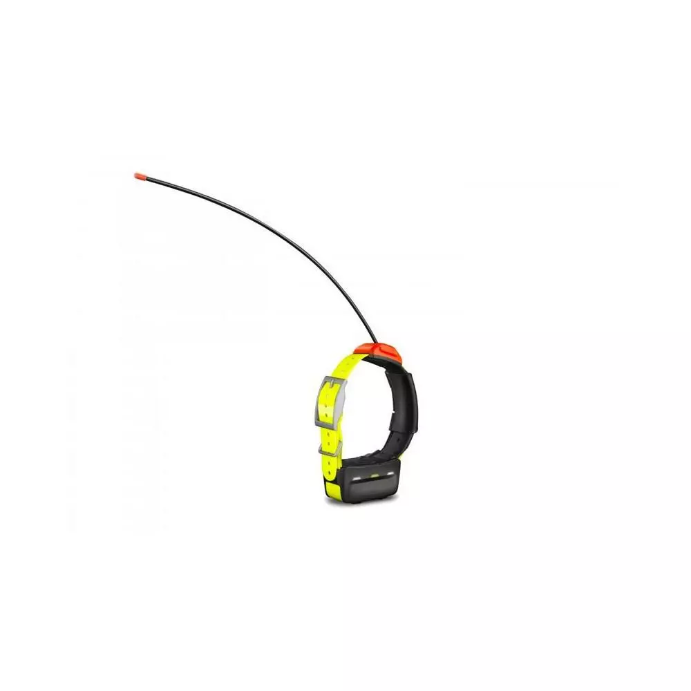 Collier GPS Garmin T5 F 1 Collier GPS Garmin T5 F
