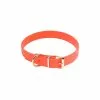 Collier Pour Chien Biothane Orange Country