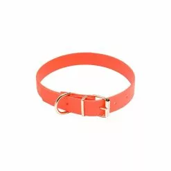 Collier Pour Chien Biothane Orange Country