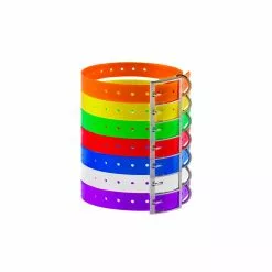 Collier Pour Chien 2,5 Cm PU Country