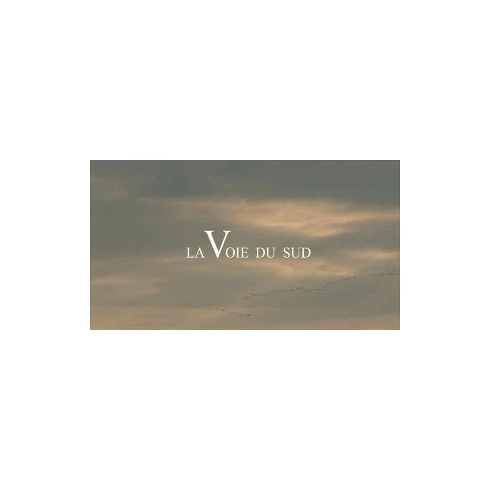 Dvd La Chasse A La Hutte Et Au Gabion Volume IV "La Voie Du Sud 1 Dvd La Chasse A La Hutte Et Au Gabion Volume IV "La Voie Du Sud