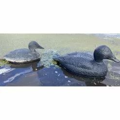 DUCK HUNTER Forme D'eider Noire Magnum -Nature & Précision Soldes Boutique forme d eider noire magnum 2