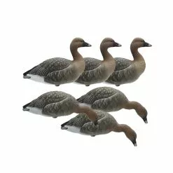 Forme D'oie Des Moissons Sur Pattes Final Approach X6