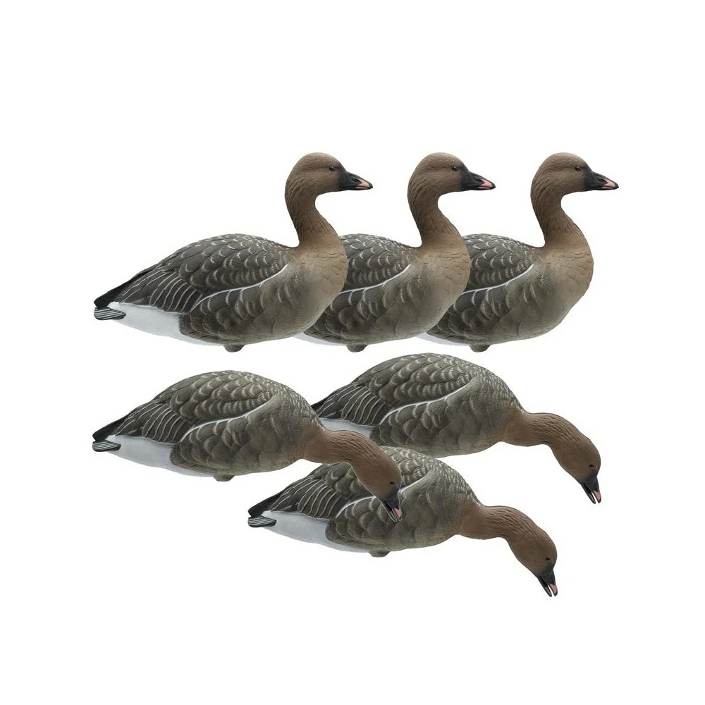 Forme D'oie Des Moissons Sur Pattes Final Approach X6 1 Forme D'oie Des Moissons Sur Pattes Final Approach X6