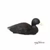 DUCK HUNTER Forme De Foulque