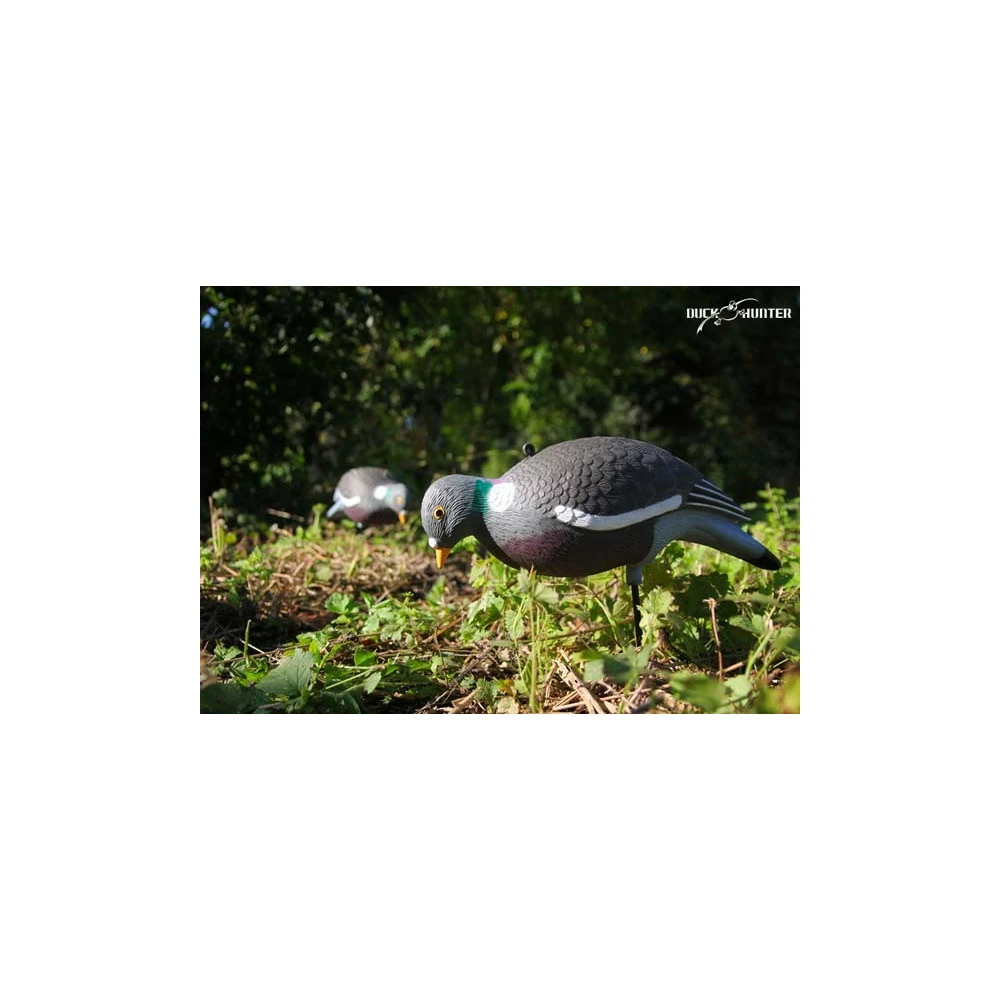 DUCK HUNTER Forme Vision Pigeon HD Mangeur 3 DUCK HUNTER Forme Vision Pigeon HD Mangeur – Image 3