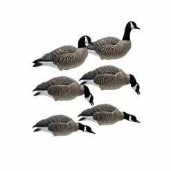 Formes D'oie Bernache Sur Pattes Final Approach X6