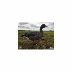 Formes D'oie Cendrée Sur Pattes AvianX X6 11 Formes D'oie Cendrée Sur Pattes AvianX X6 -Nature & Précision Soldes Boutique formes d oie cendree sur pattes avianx x6 3