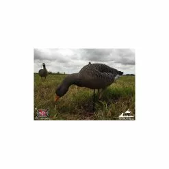 Formes D'oie Cendrée Sur Pattes AvianX X6 14 Formes D'oie Cendrée Sur Pattes AvianX X6 -Nature & Précision Soldes Boutique formes d oie cendree sur pattes avianx x6 6