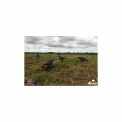 Formes D'oie Cendrée Sur Pattes AvianX X6 15 Formes D'oie Cendrée Sur Pattes AvianX X6 -Nature & Précision Soldes Boutique formes d oie cendree sur pattes avianx x6 7