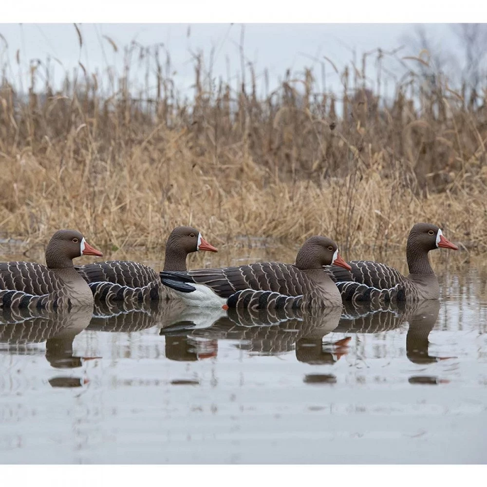 Formes D'oie Rieuse Flottante AvianX X4 2 Formes D'oie Rieuse Flottante AvianX X4 – Image 2