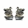 Formes De Chipeau AvianX Actifs HD