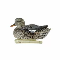 Formes De Chipeau AvianX Actifs HD 9 Formes De Chipeau AvianX Actifs HD -Nature & Précision Soldes Boutique formes de chipeau avianx 4