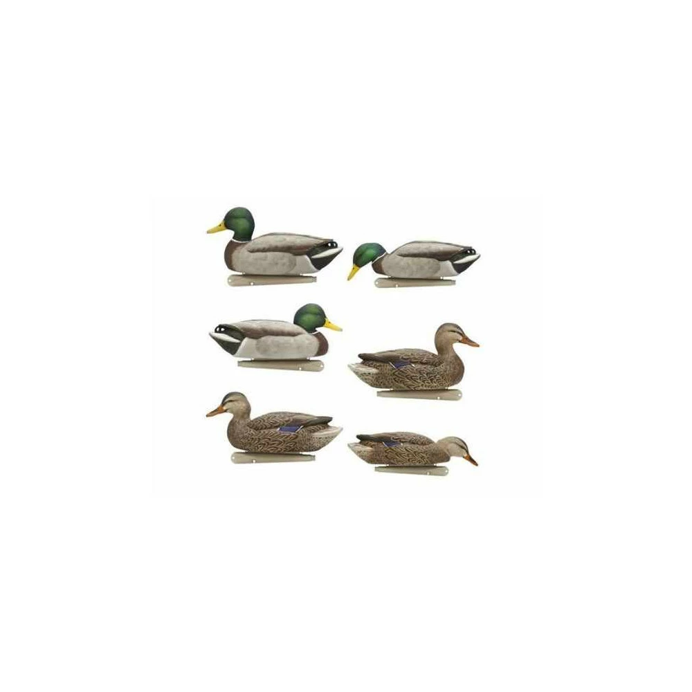 Formes De Colvert AvianX Top Flight HD 2 Formes De Colvert AvianX Top Flight HD – Image 2