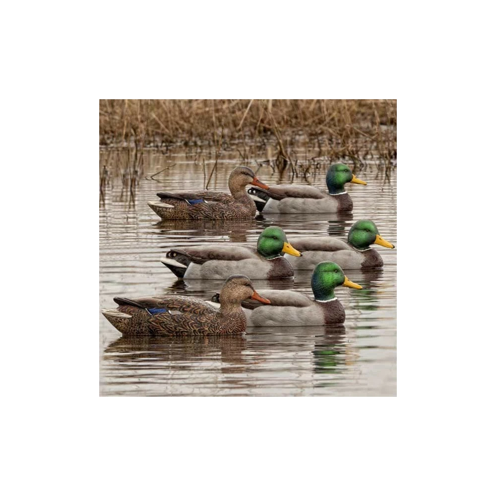 Formes De Colvert AvianX Open Water HD 2 Formes De Colvert AvianX Open Water HD – Image 2