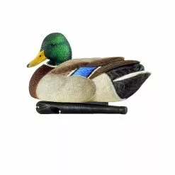 Formes De Colvert AvianX Repos Et Actifs HD 8 Formes De Colvert AvianX Repos Et Actifs HD -Nature & Précision Soldes Boutique formes de colvert avianx repos et actifs hd 3