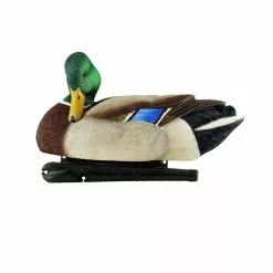 Formes De Colvert AvianX Repos Et Actifs HD 9 Formes De Colvert AvianX Repos Et Actifs HD -Nature & Précision Soldes Boutique formes de colvert avianx repos et actifs hd 4