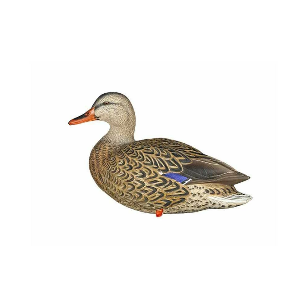 Formes De Colvert Sur Pattes AvianX 5 Formes De Colvert Sur Pattes AvianX – Image 5