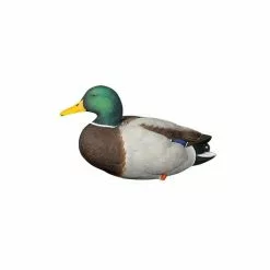 Formes De Colvert Sur Pattes AvianX 12 Formes De Colvert Sur Pattes AvianX -Nature & Précision Soldes Boutique formes de colvert sur pattes avianx 5