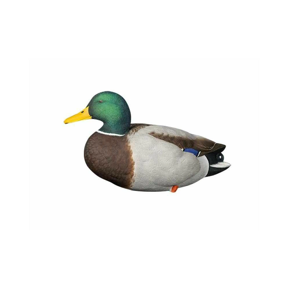 Formes De Colvert Sur Pattes AvianX 6 Formes De Colvert Sur Pattes AvianX – Image 6