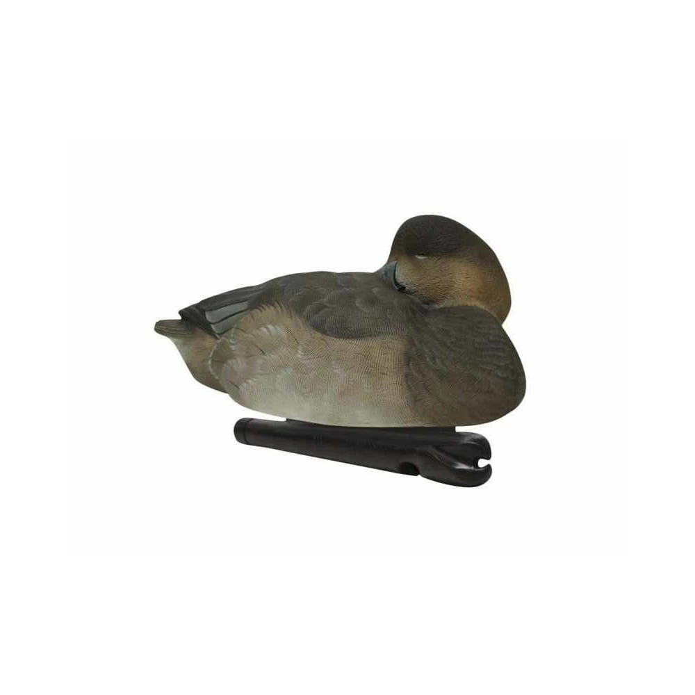 Formes De Milouin AvianX Pack Mixte 5 Formes De Milouin AvianX Pack Mixte – Image 5