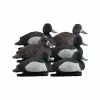 Formes De Morillon AvianX