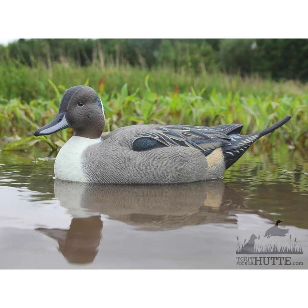 Formes De Pilet AvianX Actifs 4 Formes De Pilet AvianX Actifs – Image 4
