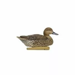 Formes De Pilet AvianX Actifs 13 Formes De Pilet AvianX Actifs -Nature & Précision Soldes Boutique formes de pilet avianx actifs 5