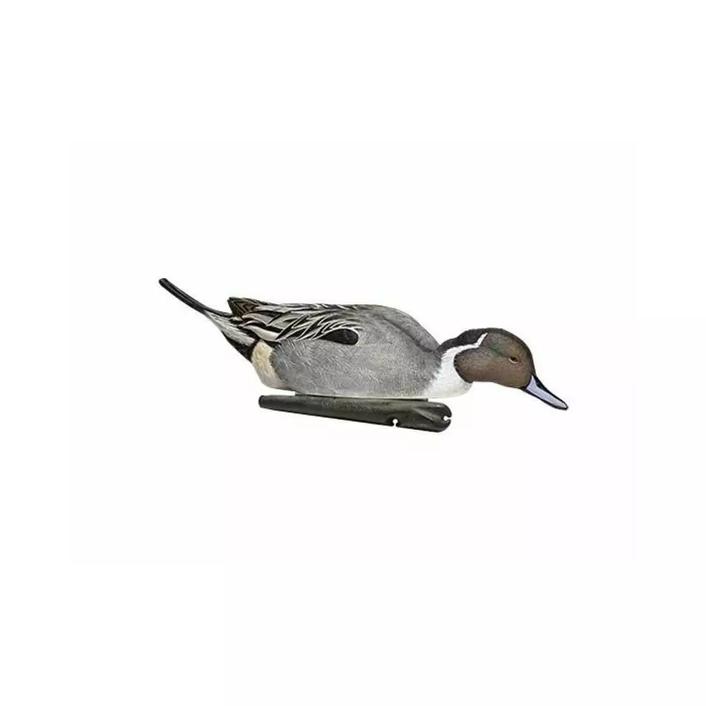 Formes De Pilet AvianX Actifs 7 Formes De Pilet AvianX Actifs – Image 7