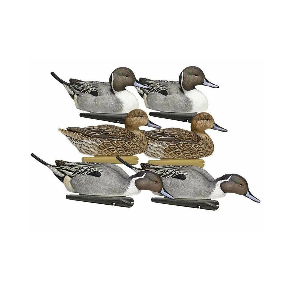 Formes De Pilet AvianX Actifs 1 Formes De Pilet AvianX Actifs