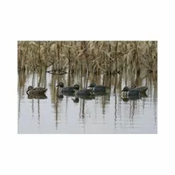 Flambeau Outdoors Formes De Sarcelle HD Peinture UVision 12 Flambeau Outdoors Formes De Sarcelle HD Peinture UVision -Nature & Précision Soldes Boutique formes de sarcelle hd peinture uvision 4