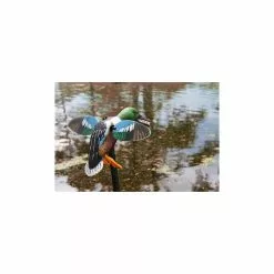 Mojo Spoonzilla -Nature & Précision Soldes Boutique mojo spoonzilla 2