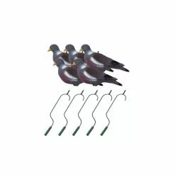 Les Packs Du Chasseur De Pigeon Pack Irrésistible Pigeon