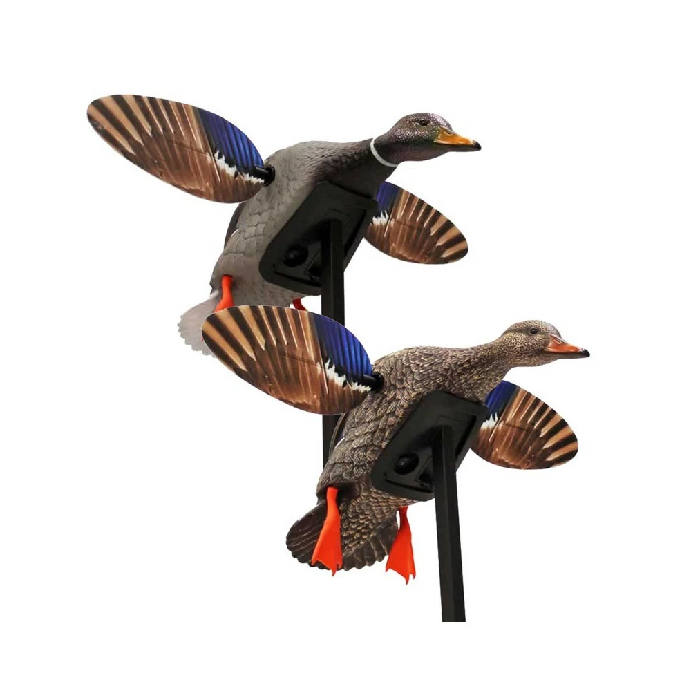 Les Packs Toutpourlahutte Pack Mini-Mallard Mojo 1 Les Packs Toutpourlahutte Pack Mini-Mallard Mojo