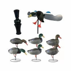 Les Packs Toutpourlahutte Pack Passée éco