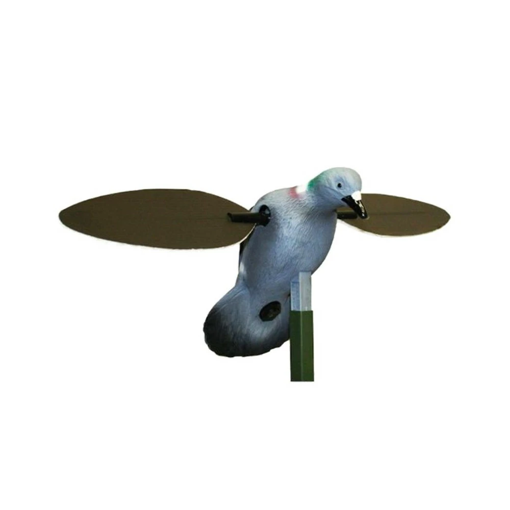 Pigeon à Ailes Tournantes MOJO 1 Pigeon à Ailes Tournantes MOJO