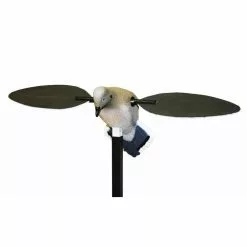 Tourterelle à Ailes Tournantes MOJO