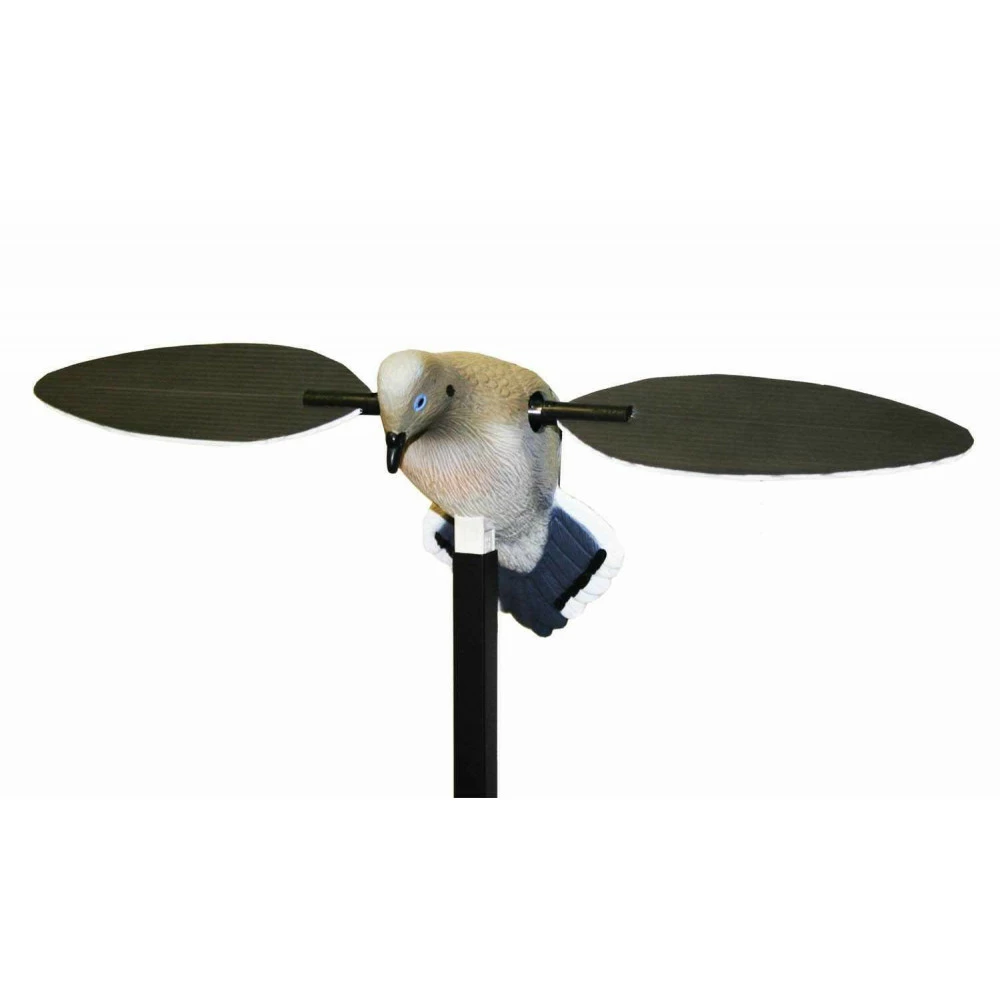 Tourterelle à Ailes Tournantes MOJO 1 Tourterelle à Ailes Tournantes MOJO