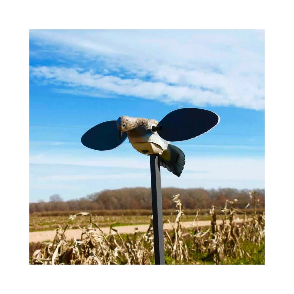 Tourterelle Elite Series Mojo 2 Tourterelle Elite Series Mojo – Image 2